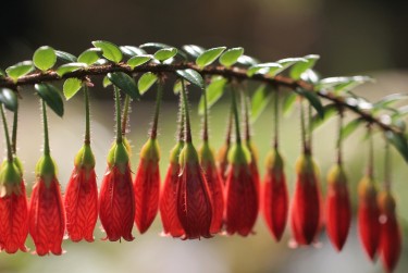 东莞清溪私人快速借钱网，轻松解决资金难题