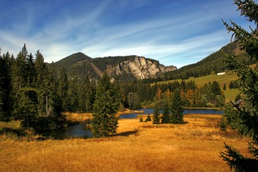 东莞清溪民间私贷攻略：揭秘低成本借贷的秘密