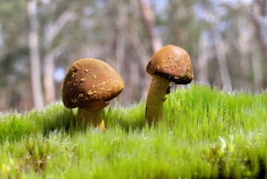 东莞清溪私人老板放款：轻松融资的秘密通道